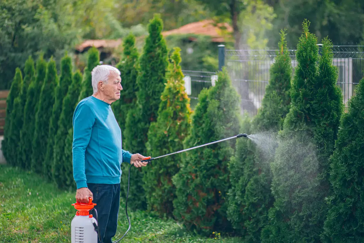 DIY herbicide use caution Homeowner spraying yard with a caution overlay