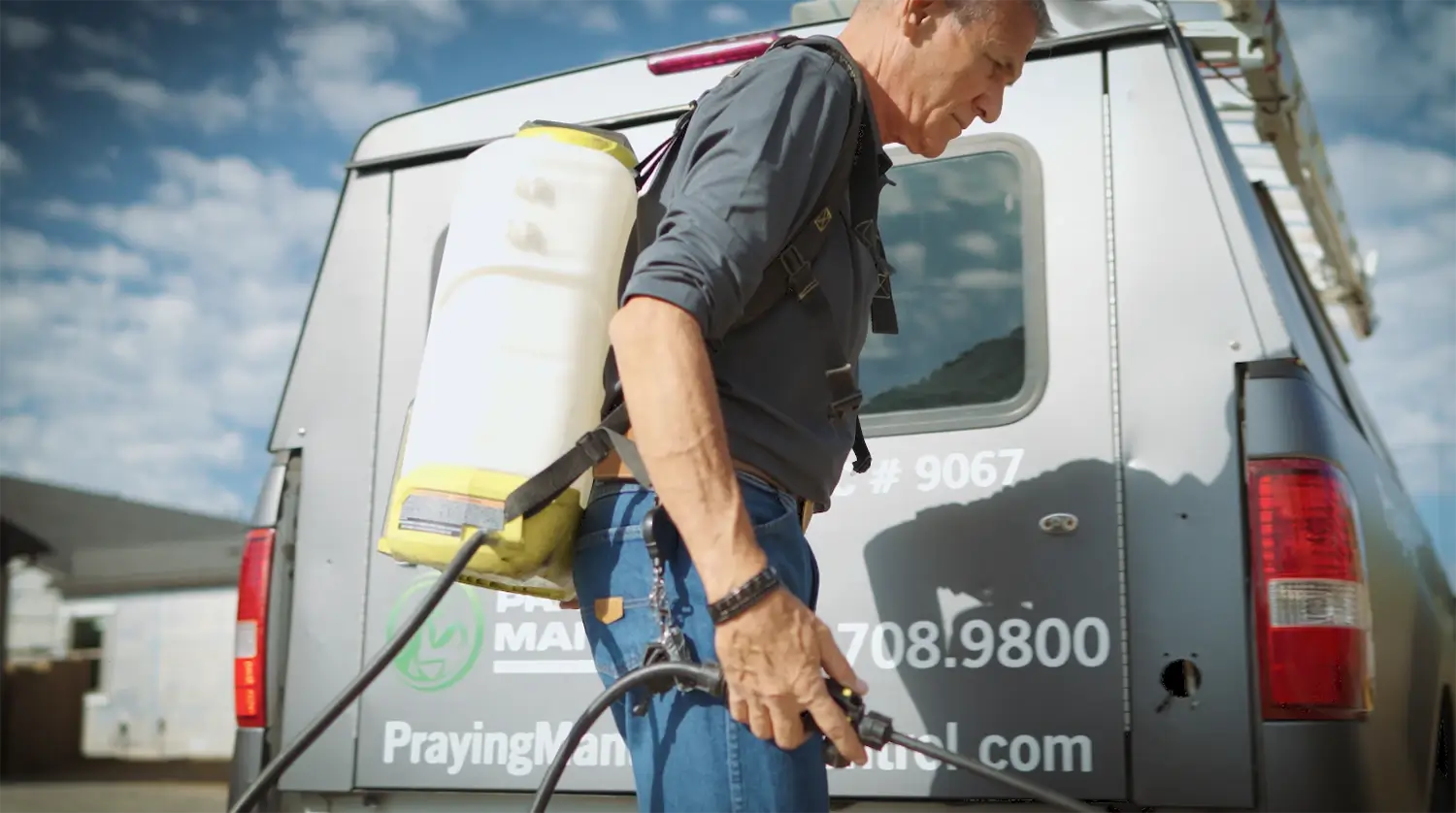 Pest control technician with backpack sprayer preparing for treatment